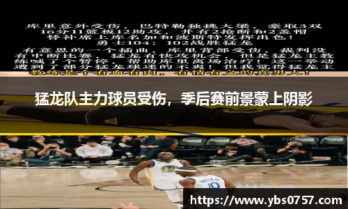 猛龙队主力球员受伤，季后赛前景蒙上阴影