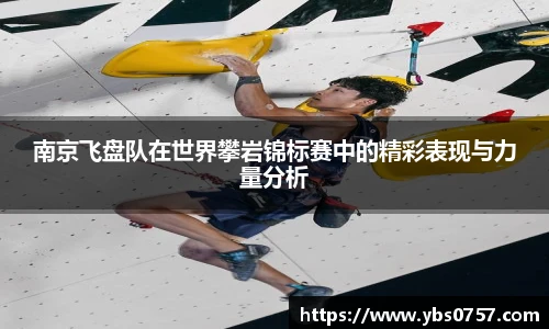 南京飞盘队在世界攀岩锦标赛中的精彩表现与力量分析